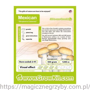 Growkit    Mexico Meksykańskie 1200  Zestaw startowy