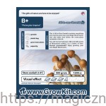  Growkit   B+ Plus 1200 ml