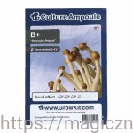 B+  Plus  ZARODNIKI W STRZYKAWCE ŻYWE KULTURY Growkit