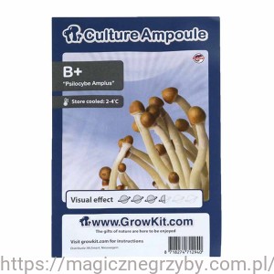 B+  Plus  ZARODNIKI W STRZYKAWCE ŻYWE KULTURY Growkit