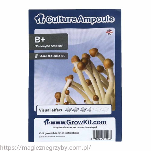 B+  Plus  ZARODNIKI W STRZYKAWCE ŻYWE KULTURY Growkit