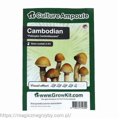 CAMBODIAN  ZARODNIKI W STRZYKAWCE ŻYWE KULTURY Growkit