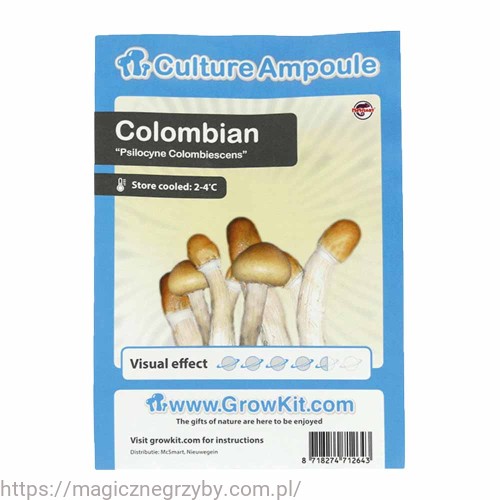 COLOMBIAN ZARODNIKI W STRZYKAWCE ŻYWE KULTURY Growkit