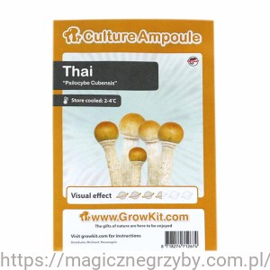 THAI ZARODNIKI W STRZYKAWCE ŻYWE KULTURY Growkit