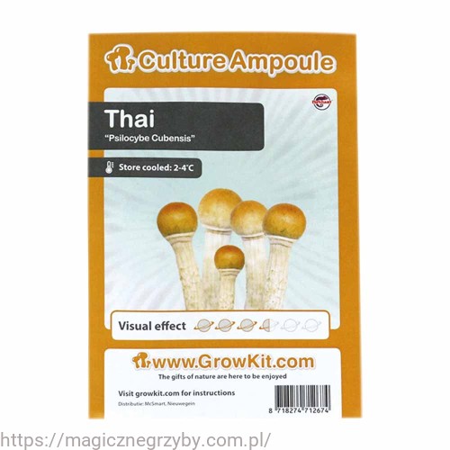 THAI ZARODNIKI W STRZYKAWCE ŻYWE KULTURY Growkit