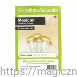 MEXICAN ZARODNIKI W STRZYKAWCE ŻYWE KULTURY Growkit