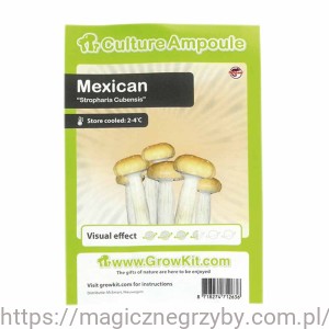 MEXICAN ZARODNIKI W STRZYKAWCE ŻYWE KULTURY Growkit