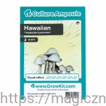 Hawaiian ZARODNIKI W STRZYKAWCE ŻYWE KULTURY Growkit