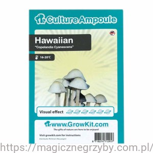Hawaiian ZARODNIKI W STRZYKAWCE ŻYWE KULTURY Growkit
