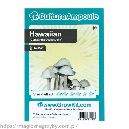 Hawaiian ZARODNIKI W STRZYKAWCE ŻYWE KULTURY Growkit