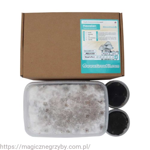 GrowKit Hawaiian Albino 1200ml Najmocniejsze