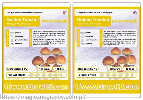 GROWKIT GOLDEN TEACHER 1200 ZESTAW 2 SZTUKI