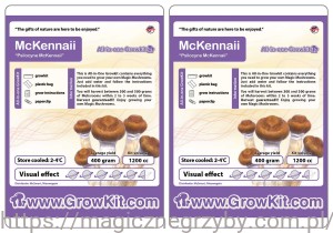 GROWKIT   MCKENNAII 1200ML ZESTAW 2 SZTUKI 