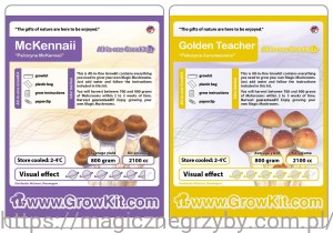 GROWKIT   MCKENNAII 2100 + GOLDEN TEACHER 2100 ML ZESTAW 2 SZTUKI  