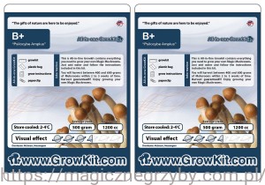 GROWKIT B+    1200ML ZESTAW 2 SZTUKI