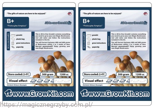 Growkit B+ 1200 Zestaw.jpg