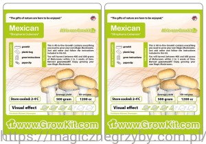 GROWKIT MEXICO MEKSYKAŃSKIE 1200 ZESTAW  2 Szt