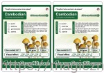 GROWKIT CAMBODIAN 1200ML    2 szt   Zestaw
