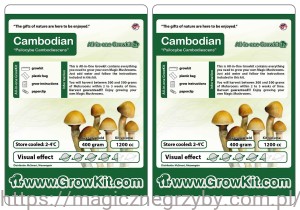 GROWKIT CAMBODIAN 1200ML    2 szt   Zestaw