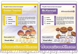 Golden Teacher  i MCkennaii.  Zestaw 1200  2 szt   Growkity Król Promocji