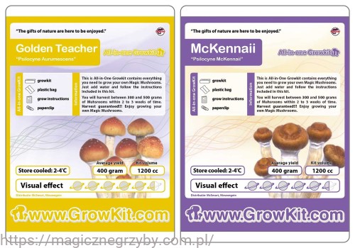 Zestaw Growkit 1200 Mackennai i Goldent Teacher.jpg
