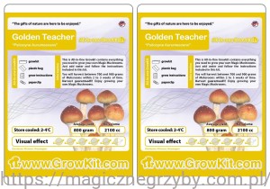 GROWKIT GOLDEN TEACHER 2100ML - Zestaw 2 Szt