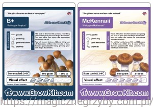 MCKENNAII 1200  i  B+  Zestaw 1200  -  2 sztuki  Growkity