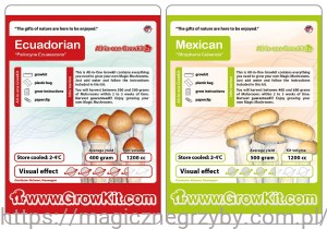 GROWKIT  ECUADORIAN 1200ML  +  GROWKIT MEXICO 1200 Zestaw 2 sztuki