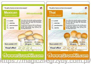 GROWKIT MEXICO 1200 ml + GROWKIT THAI 1200 ml Zestaw 2 Sztuki