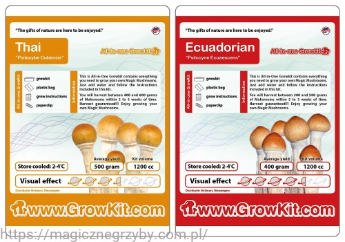 Thai + ECuadorian.jpg