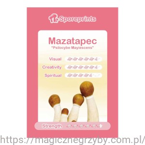 ODCISK ZARODNIKÓW  Mazatapec 