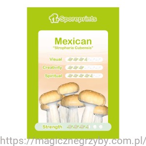 ODCISK ZARODNIKÓW Mexican