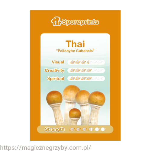 2024_sporeprint_Thai_1.png