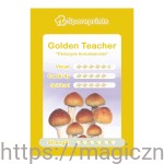 Odcisk Zarodników Golden Teacher