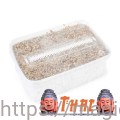 psilocybe-cubensis-thai-paddo-growkit.jpg