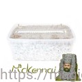 psilocybe-cubensis-mckennaii-paddo-growkit.jpg