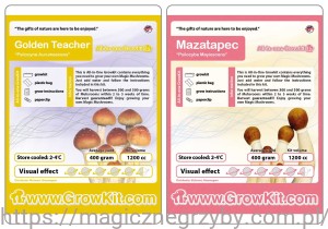 GOLDEN TEACHER 1200 i Mazeatpec 1200 - Zestaw 2 sztuki. Growkity