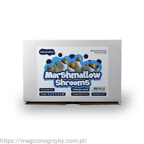 Doos Marshmallow.jpg