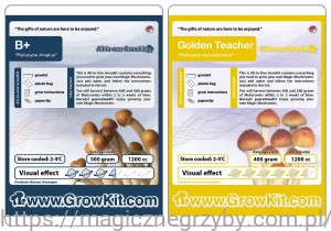GROWKIT Golden Teacher 1200 + Growkit B+ Plus 1200 - Zestaw
