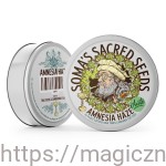 NASIONA KOLEKCJONERSKIE Amnesia Haze Autoflower - Soma Sacred Seeds 5 NASION