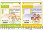 GROWKIT Golden Teacher 1200 + Mexican 1200 - ZESTAW
