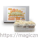 Growkit  Waikiki Waves 1200 - NOWOŚĆ - Edycja Limitowana- NOWOŚĆ