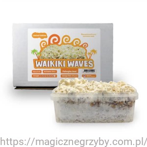 Growkit  Waikiki Waves 1200 - NOWOŚĆ - Edycja Limitowana- NOWOŚĆ