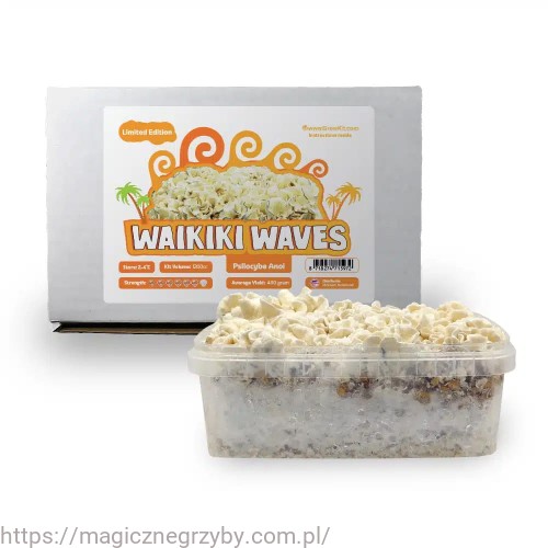 Waikiki growkit.jpg