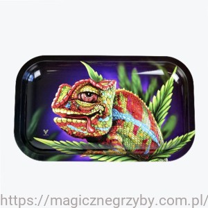 Metalowa Tacka Do Zwijania - KAMELEON