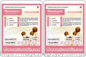 Growkit Mazatapec 2100 - 2 Sztuki Pakiet 