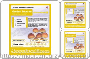 GROWKIT GOLDEN TEACHER 1200 ZESTAW 3 SZTUKI - ZESTAW