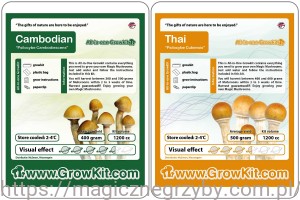 GROWKIT CAMBODIAN 1200ML + GROWKIT THAI 1200 ML- ZESTAW 2 SZTUKI