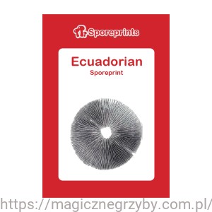 ODCISK ZARODNIKÓW ECUADORIAN