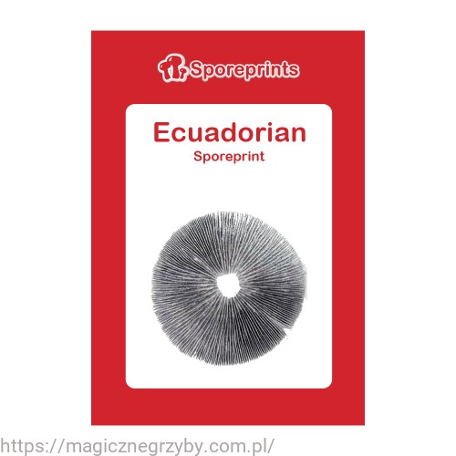 Spore_Ecuadorian_2.jpg